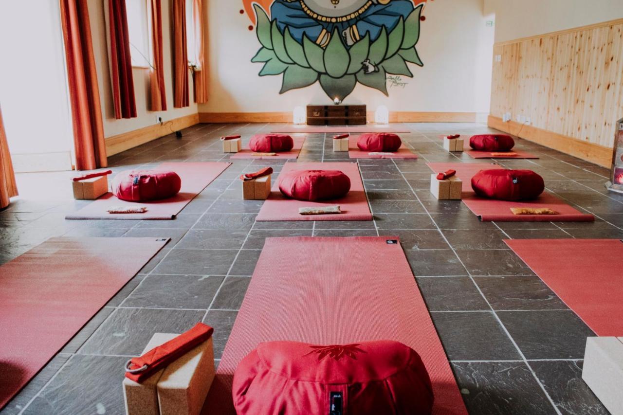 Bed & Breakfast Holwell Holistic Retreat Barnstaple