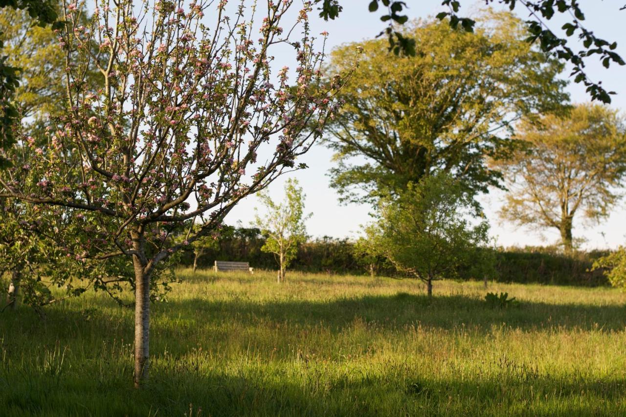 Bed & Breakfast Holwell Holistic Retreat